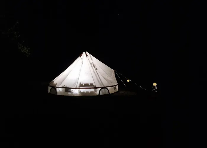 Glamping Na Samote U Lesa
